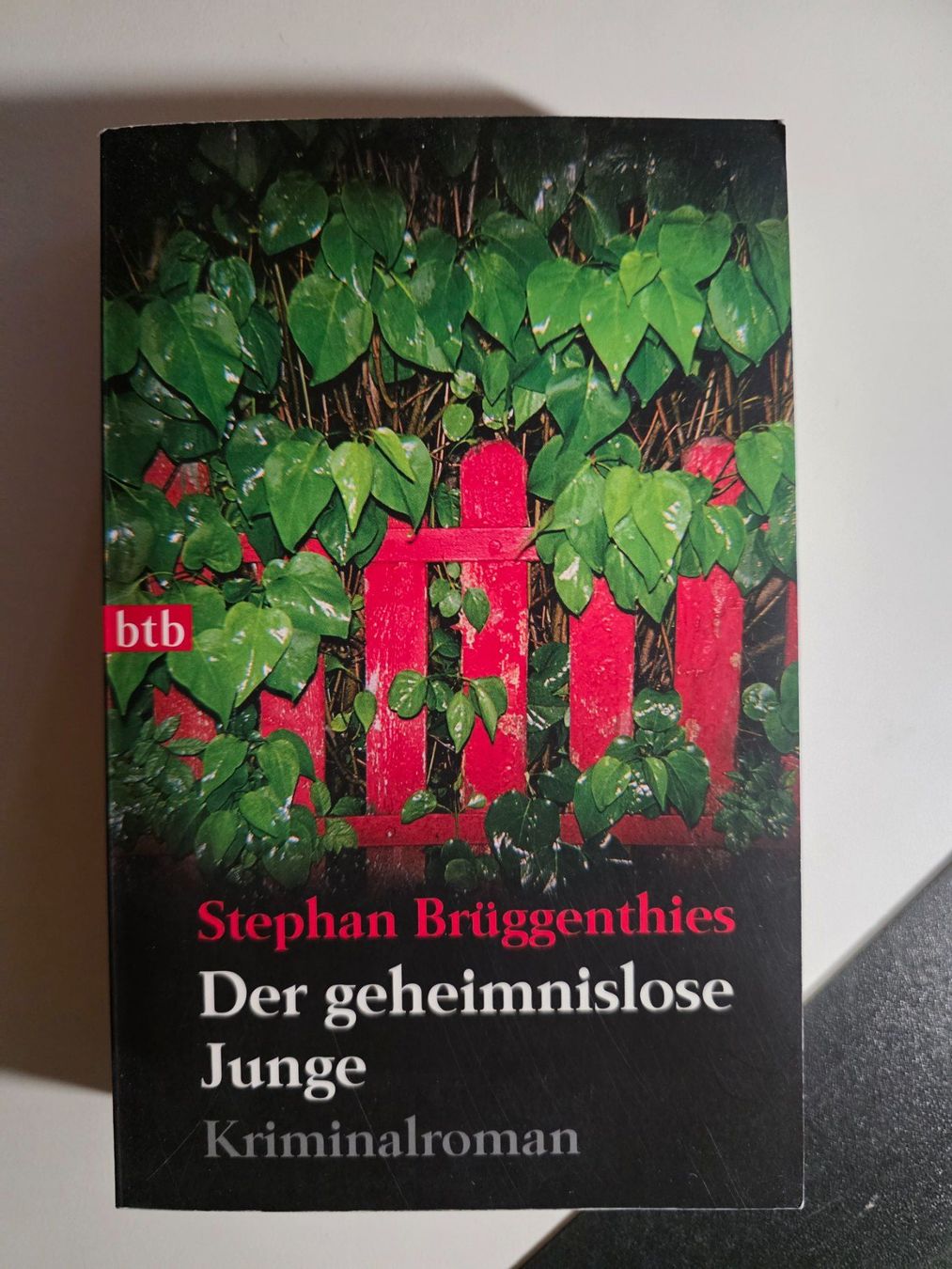 Bücher: Der geheimnislose Junge - Stephan Brüggenthies - 2009 – Gebraucht aus Walterswil BE von Lonitti